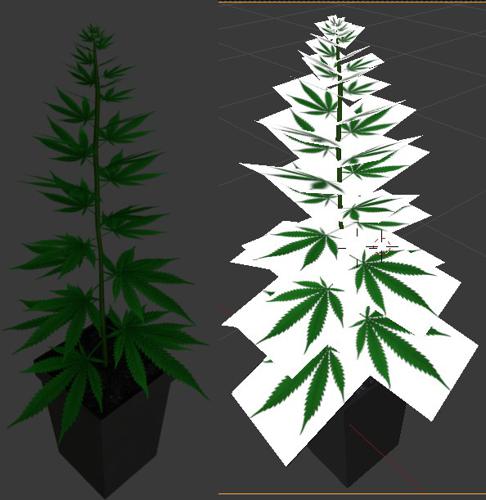 Hemp Plant - free4all preview image